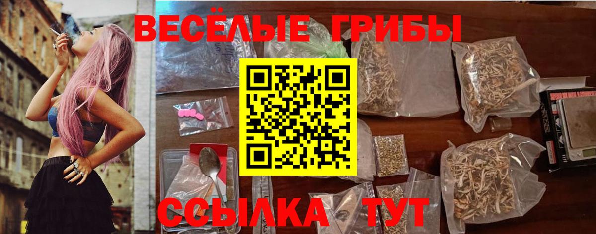Псилоцибиновые грибы MAGIC MUSHROOMS  Вход с VPN  Владикавказ  Галлюциногенные грибы мухоморы 